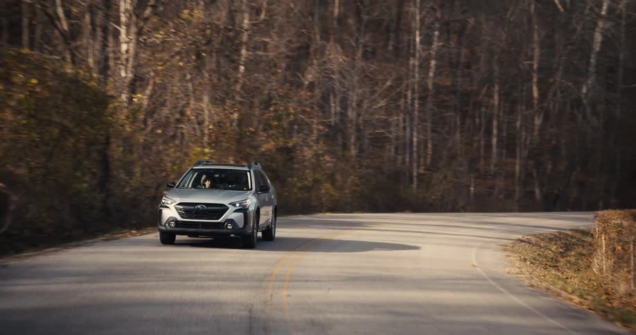 The silver car passes the forest on a fall day