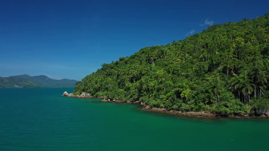 A lush tropical coastline meets clear blue ocean under a bright sky