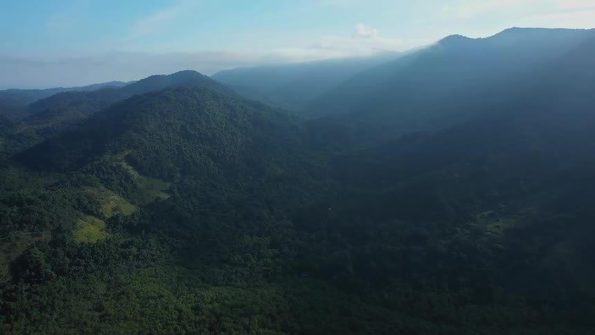 Mountain range covered by forest under soft morning light