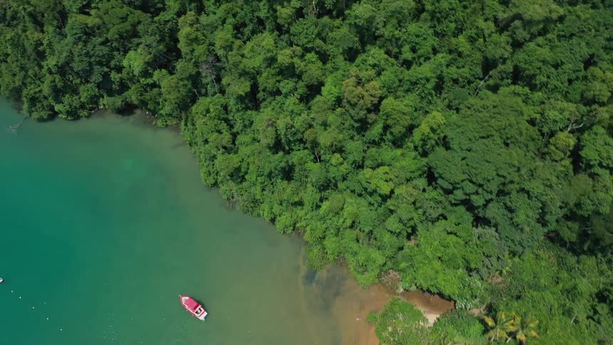 Aerial view of lush green coast meeting turquoise ocean