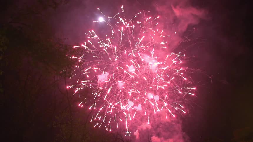 Fireworks going off in the night sky