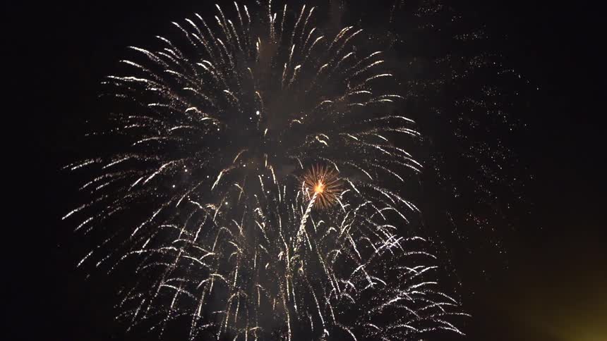 Fireworks explode in the dark night sky