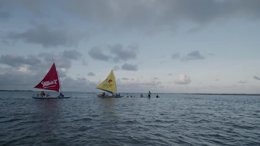 Sailboats float on open water under clouds