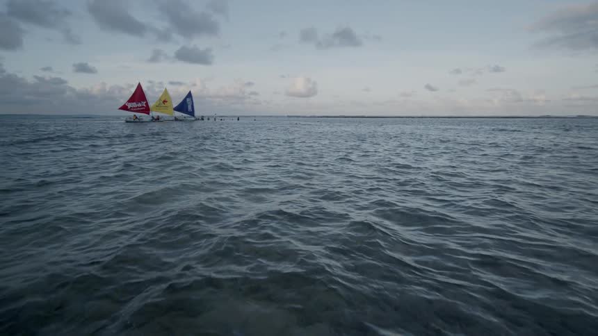 Small sailboats move in the ocean