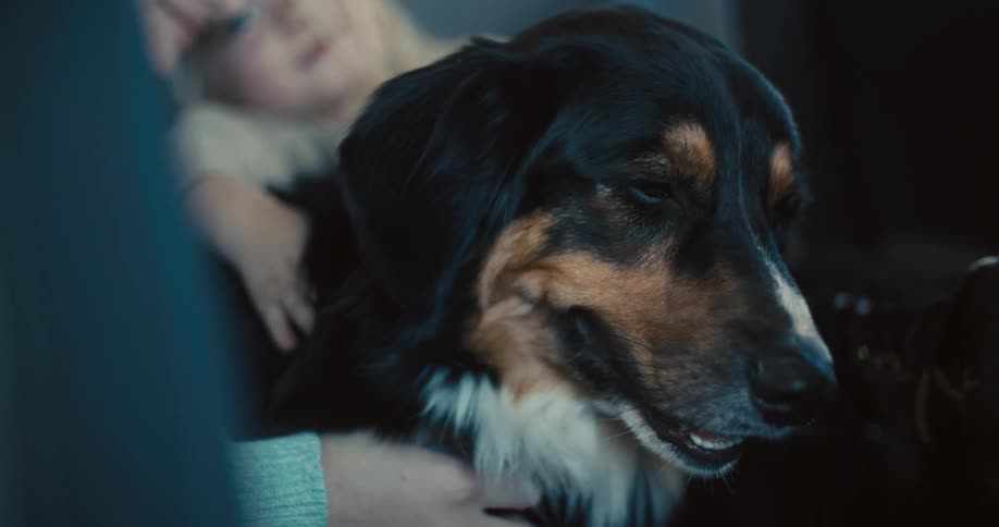 Children are petting their dog
