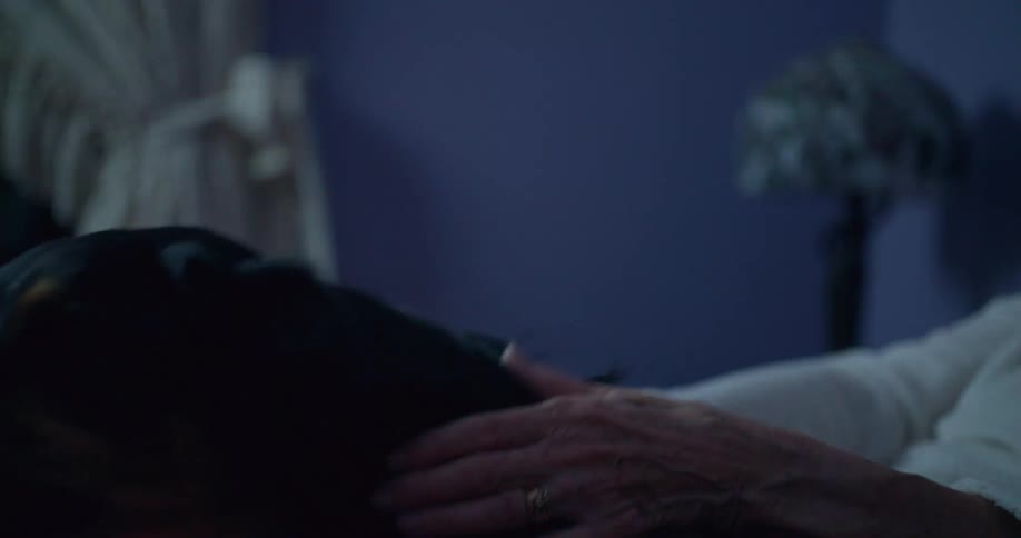 In a dimly lit room an elderly woman in a white longsleeved shirt is sitting with a dog on her lap her hand is seen gently petting the dogs head the dog is a mediumsized breed with black and brown fur