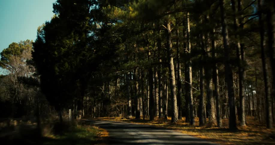 Biking along a path
