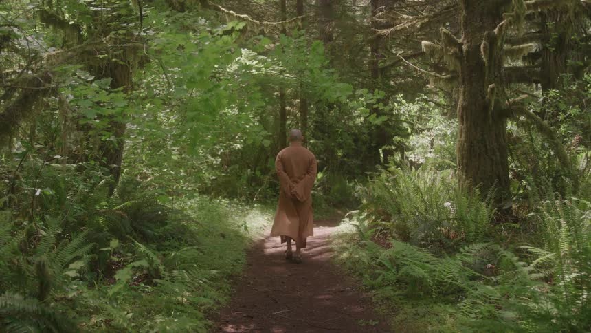 Seen from behind a monk with his hands behind his back walks slowly away from the camera down a dirt path through a lush green forest