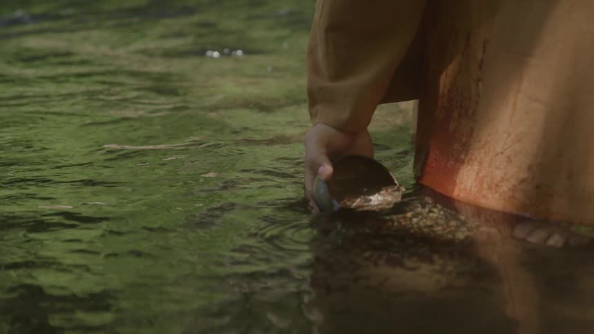 Hand holds a shell scooping water from a shallow stream