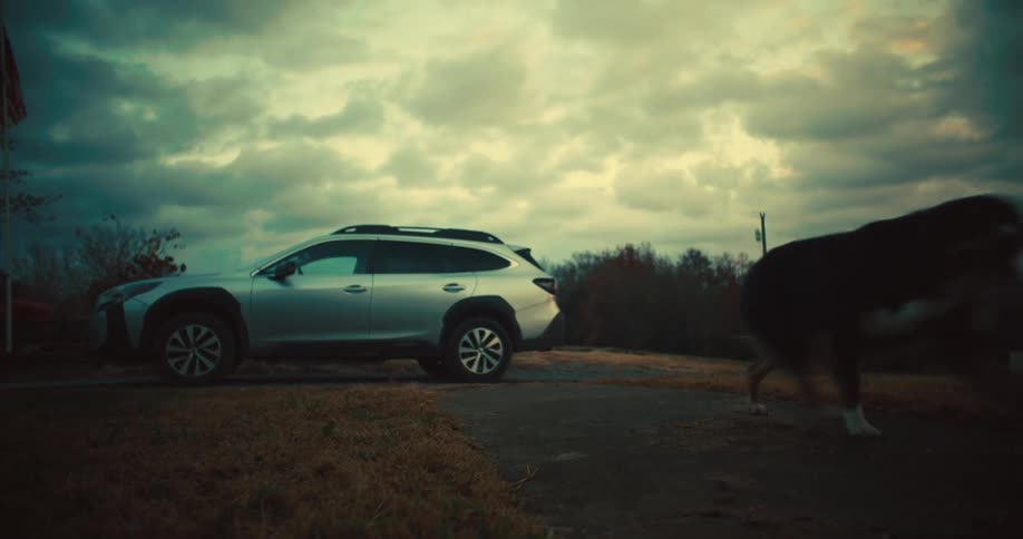 A gray suv with a roof rack is parked on a dirt path next to a brown and white dog that turns away from the vehicle under a cloudy sky