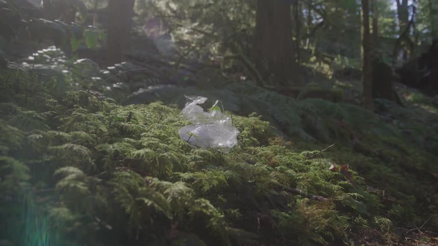 A hand picks plastic cover from forest floor