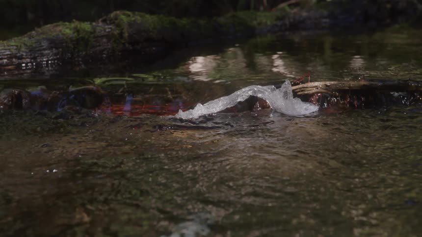 Based on the images from the video a piece of ice is seen floating in a stream of water the water flows around the ice which is partially submerged