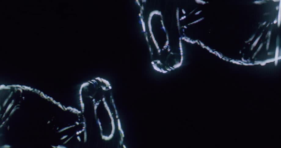Luminous silhouettes of people in reclining position against a dark background