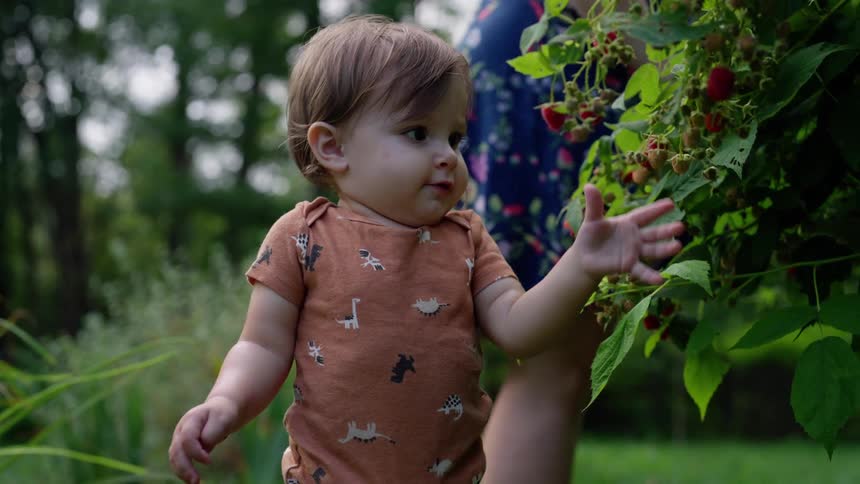 Mother and toddler berry picking in home garden