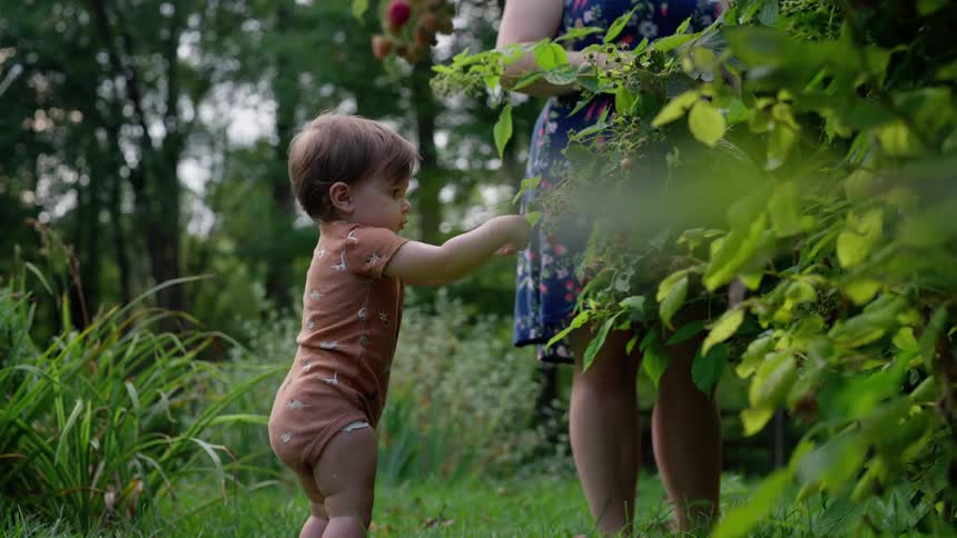 A mother and baby pick and eat berries in the garden