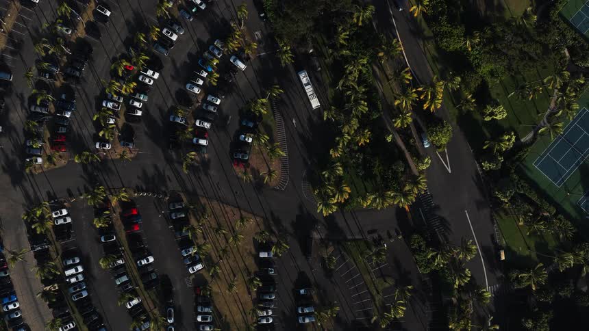 Aerial of parked cars and trees in a big parking lot at sunset