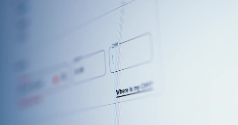 Payment information is entered into the website