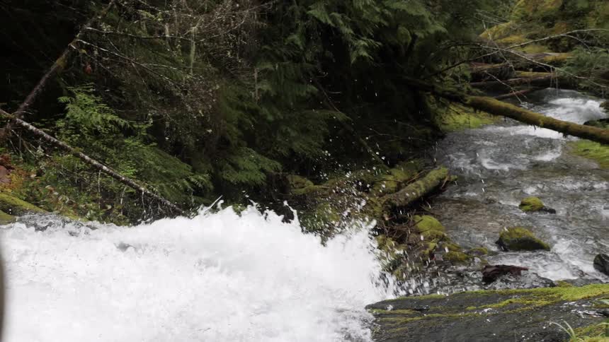 A small waterfall flows into a rocky forest stream