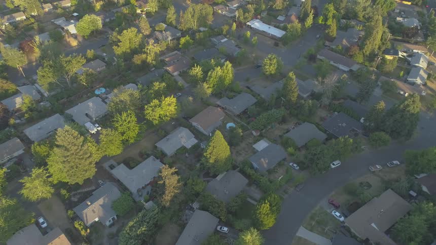 Aerial view of a peaceful tree lined suburb at golden hour