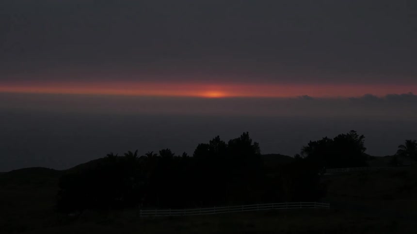 Horizon with the sunset in shades of orange and purple behind the silhouettes of trees