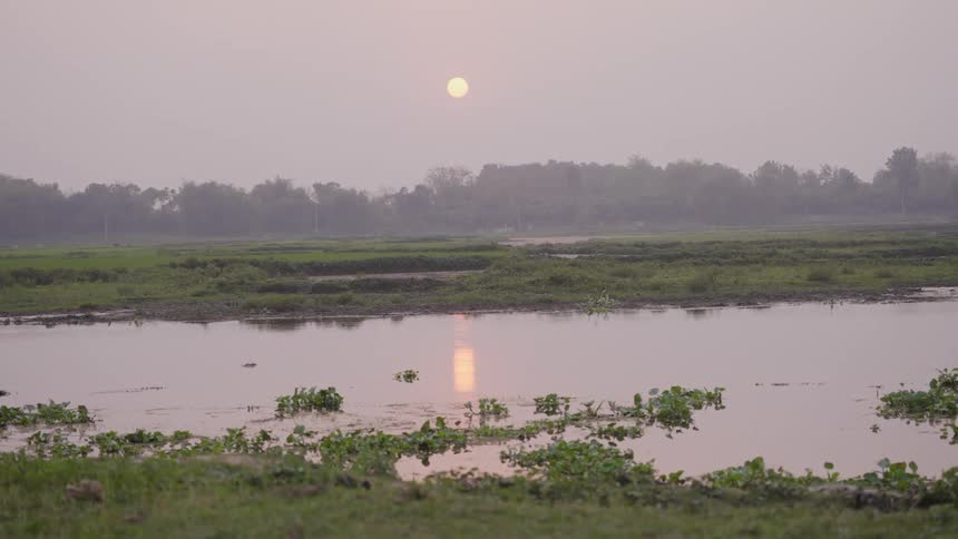 Sunset reflecting on a calm river with greenery in the foreground