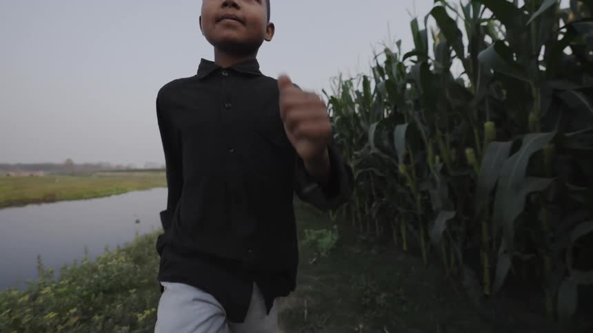 A boy runs along a narrow path between a cornfield