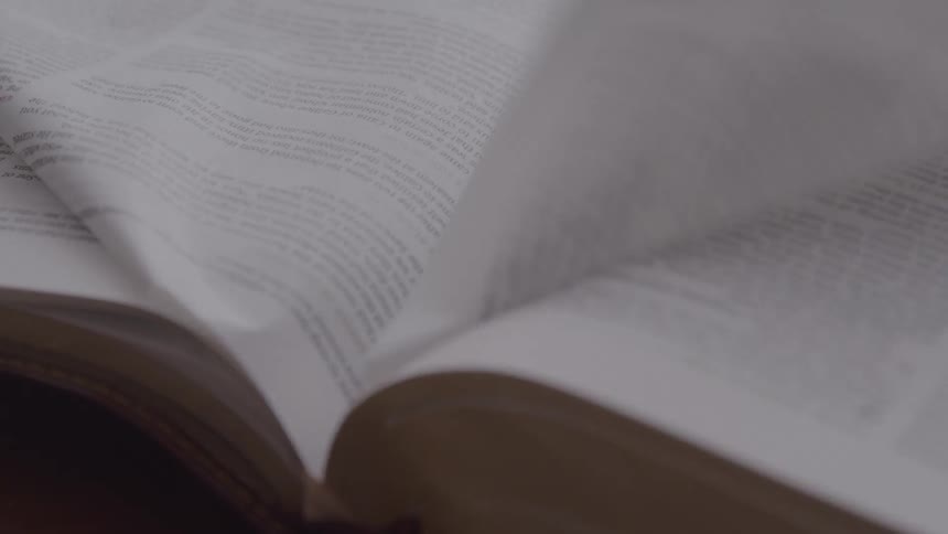 Pages of a book being flipped through up close