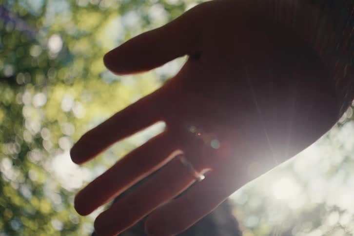 A low angle view from the ground looks up at the out of focus top of a tall tree and the green leaves of the canopy with a persons outstretched hand in the foreground obscuring the sun
