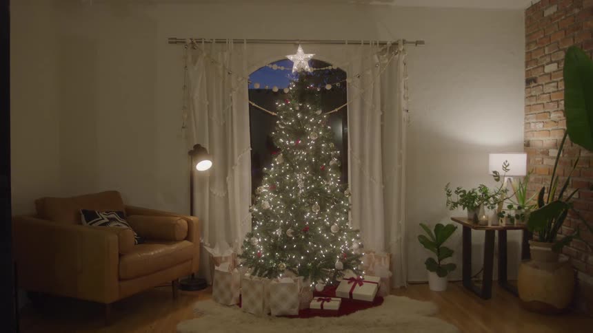 Presents are under the lit christmas tree