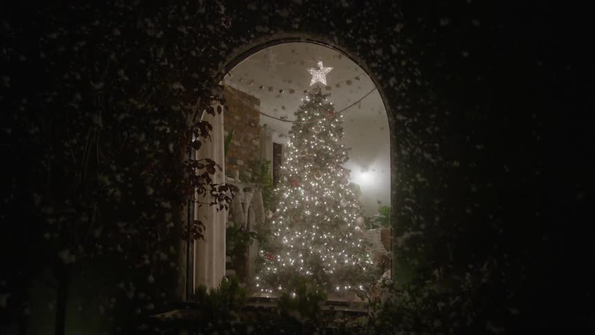 A glowing christmas tree shines through an arched window at night