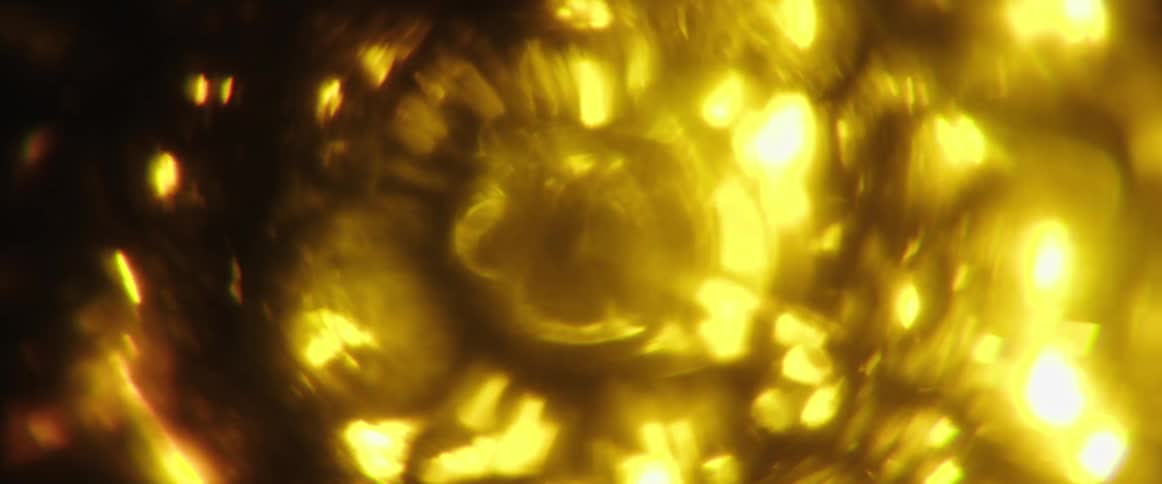 Golden blurred reflections creating a bright and abstract pattern