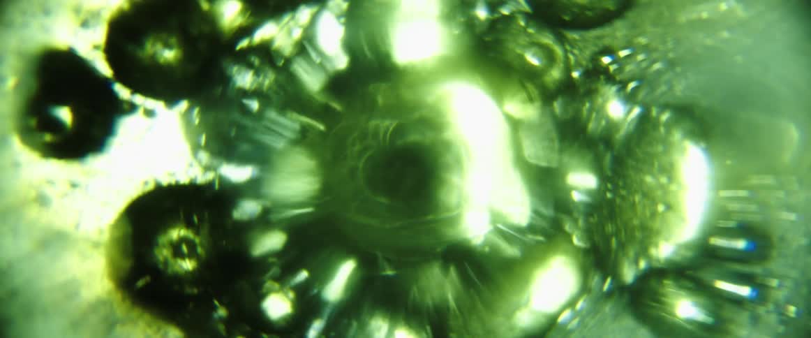 Bright light is shined through a bubbly green liquid that is rotating