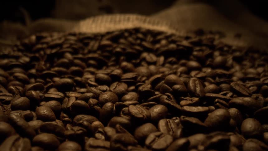 Roasted coffee beans spread over a burlap sack