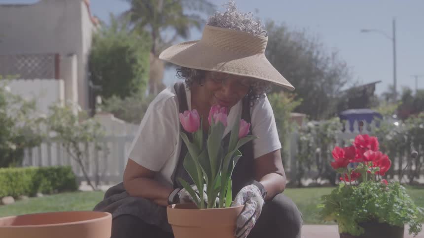 An elderly woman planting flowers in a garden