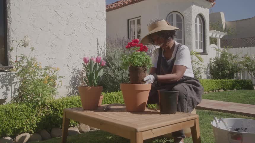 Woman wearing a straw hat plants red flowers in a clay pot in the garden