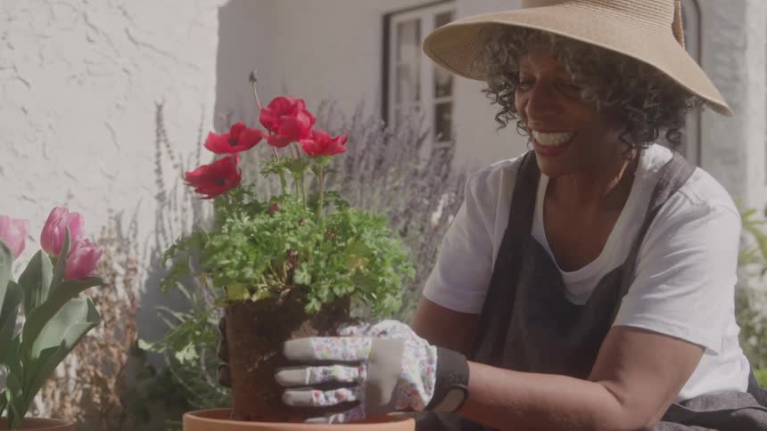 Smiling woman plants red flowers in a clay pot in the garden
