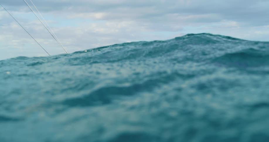 Man holds the kite while floating in the sea with his board