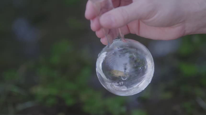 A person holding a beaker and shaking it with water collected from a nearby flowing stream in the woods at midday