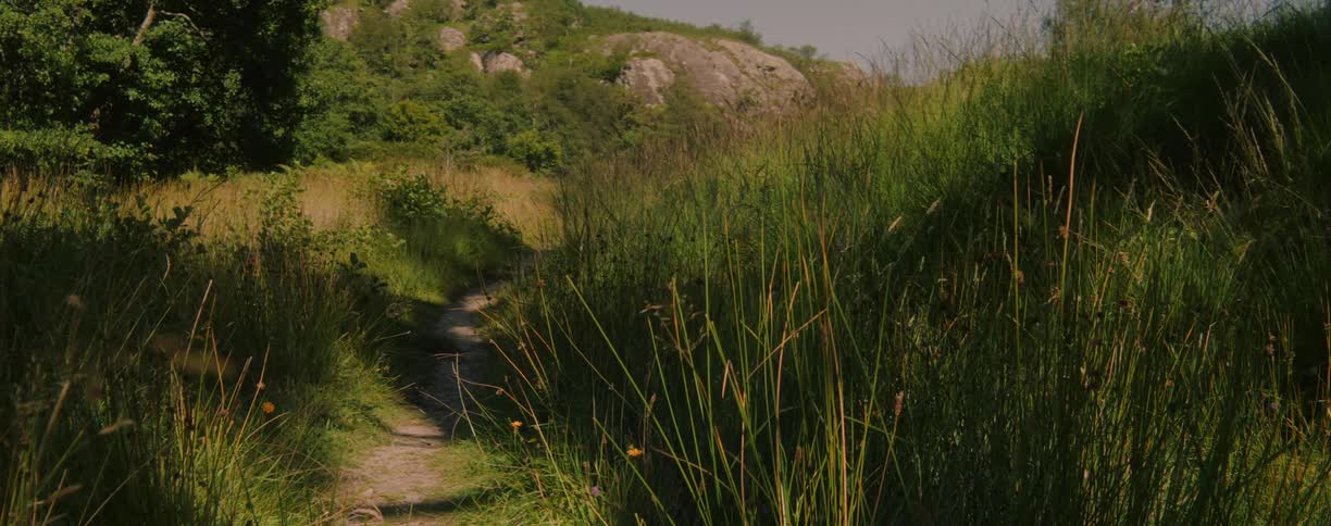 Tall grass sways in the wind next to a narrow dirt path that winds through a field towards a rocky hill in the distance