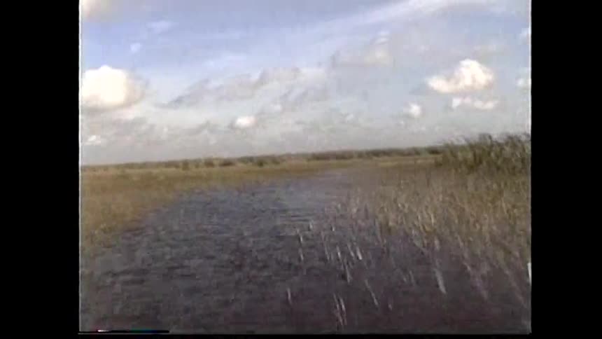 A calm river winds through marshy grasslands beneath a cloudy sky