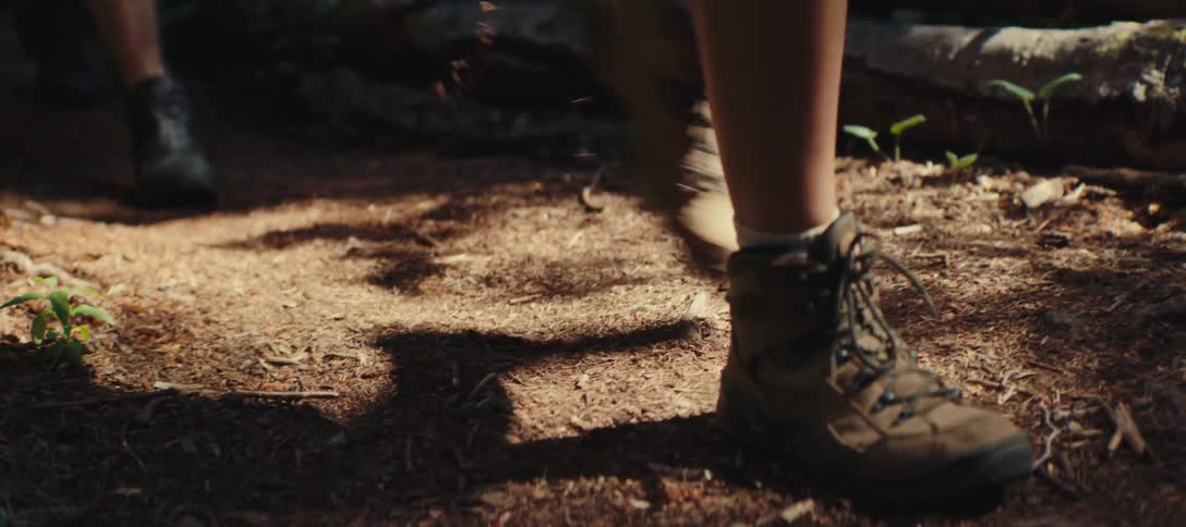 Hiking boots step along a sunlit pineneedle trail