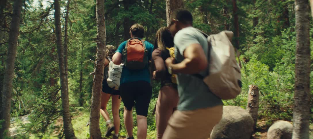 People hike along a forest trail carrying backpacks