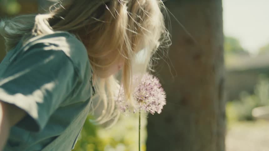 A person with long blonde hair leans down and smells a fluffy purple flower in a garden the person is wearing a green shirt and what looks like a pair of blue overalls