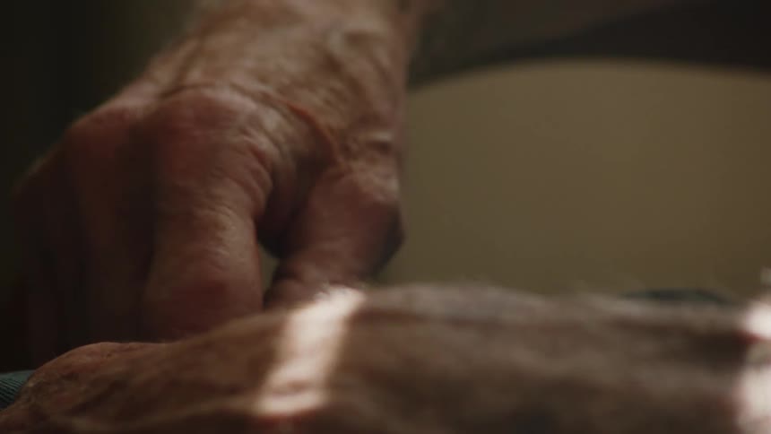 A closeup shot shows a persons wrinkled hand resting on a brownandwhite animals fur sunlight shines down on the animals fur highlighting its soft texture