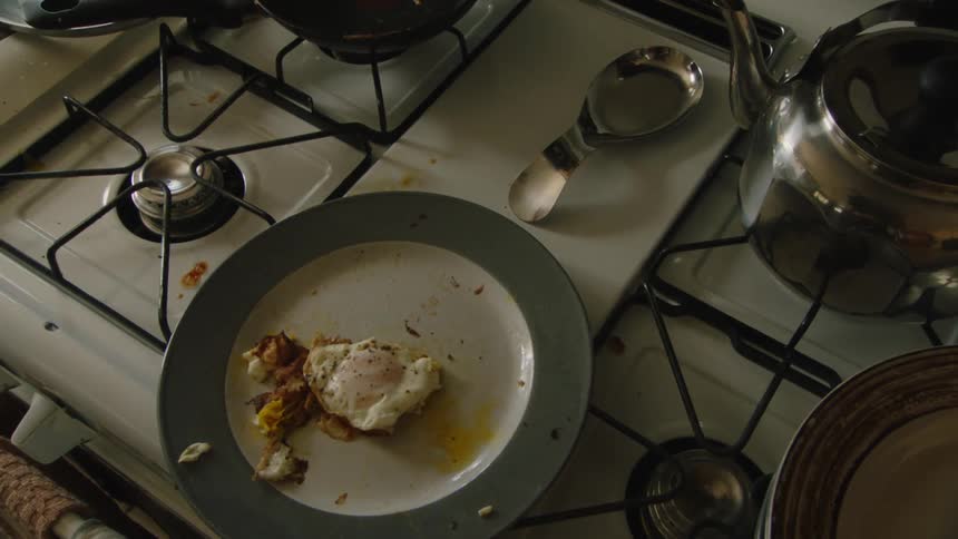 Leftovers are on the plate sitting on the stove