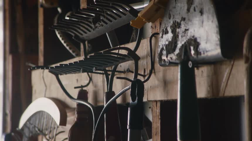 A wide low angle view shows a variety of dirty worn gardening tools including shovels and rakes hanging from black metal hooks on a rustic wooden wall