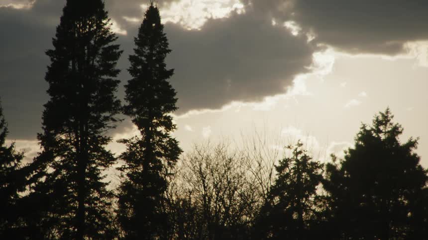 The clouds put shade all over the woods