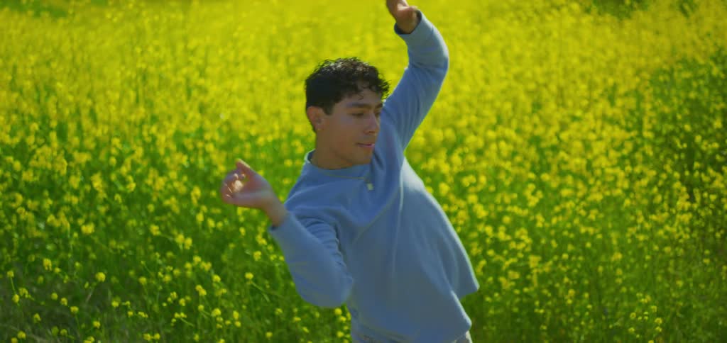 In a sunlit field of bright yellow flowers a man in a light blue longsleeved shirt is performing a graceful and fluid dance he moves his arms with intention and elegance creating a captivating contrast between his deliberate motions and the soft natu