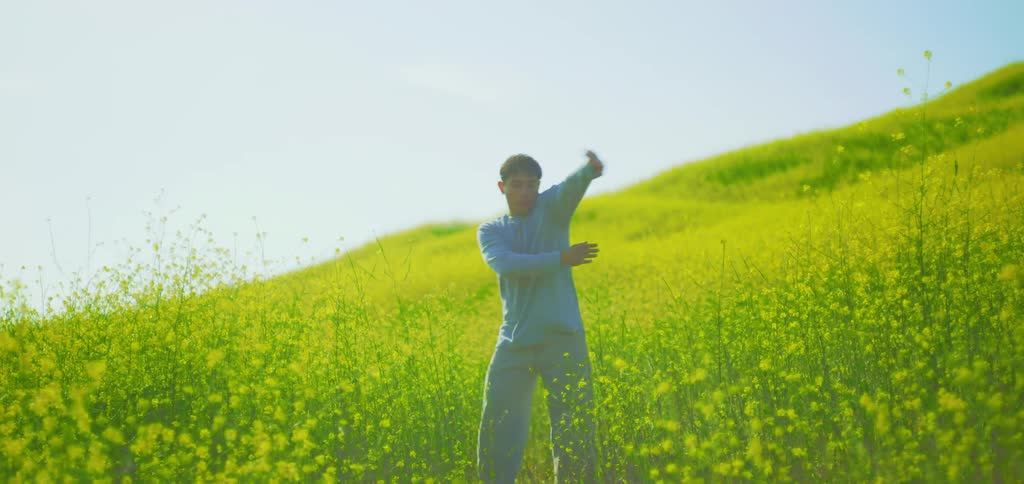 In the video a man stands in a vibrant yellow field on a sunny day with a clear blue sky behind a lush hill he is performing a graceful dance moving his arms and body with fluid expressive motions as he is enveloped by the beautiful natural scenery