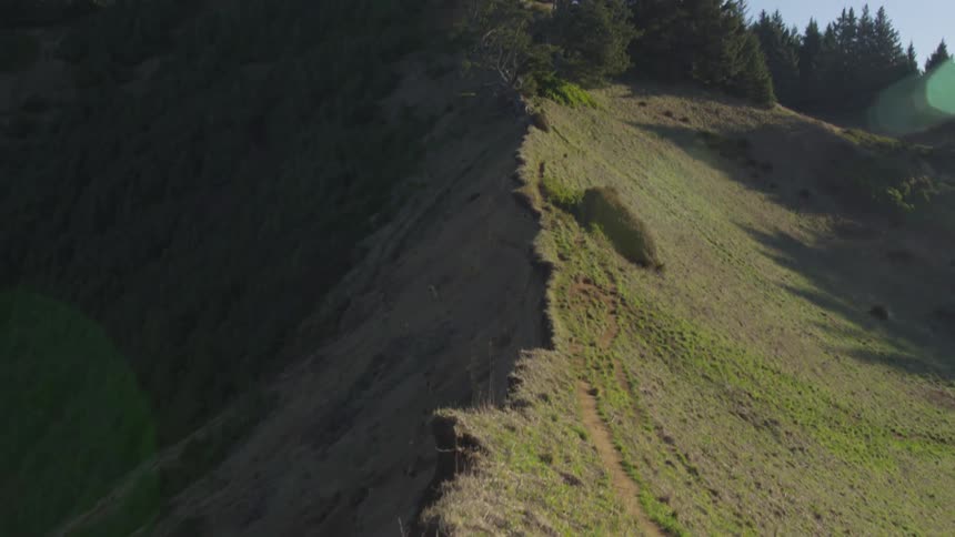 Trees are at the top of the mountain